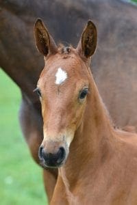 (I'm Special de Muze x Voltaire x Mytens xx)