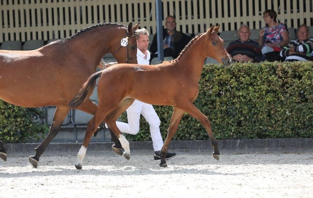 Oranette beste Kannan Jr nakomeling