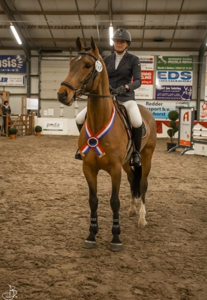 Los Limbos HBC wint kampioenschap 3 jarige springpaarden