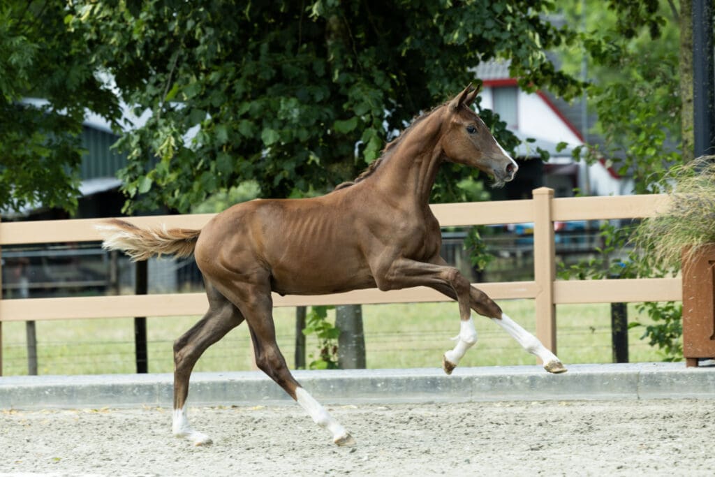 Wonderfull Bria Beauvande