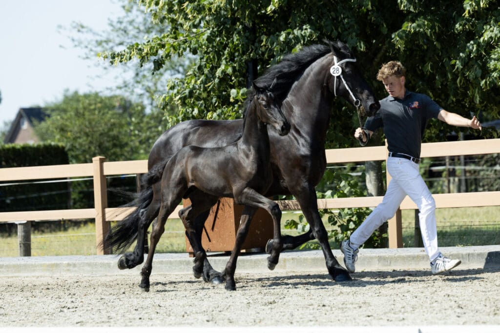 Hessel